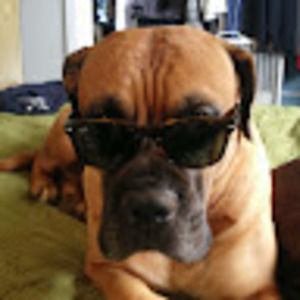 Meet your Posher, Lono